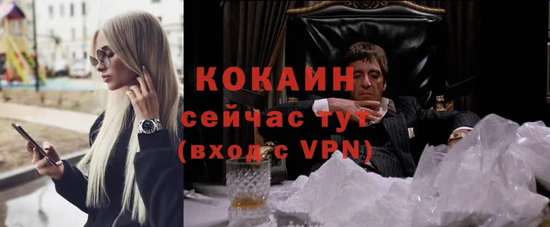 где продают наркотики  Костерёво  Cocaine FishScale 