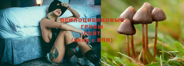 сатива Осинники