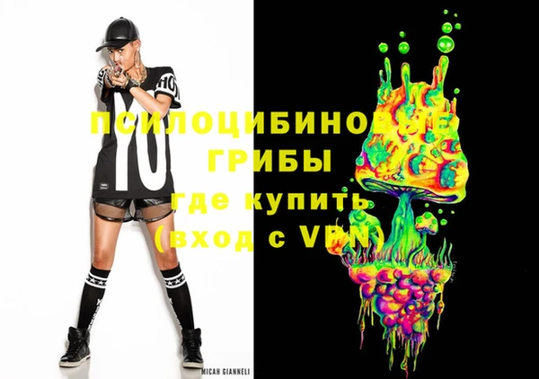 сатива Осинники